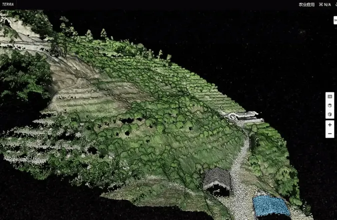 3D model of the terraced orchard