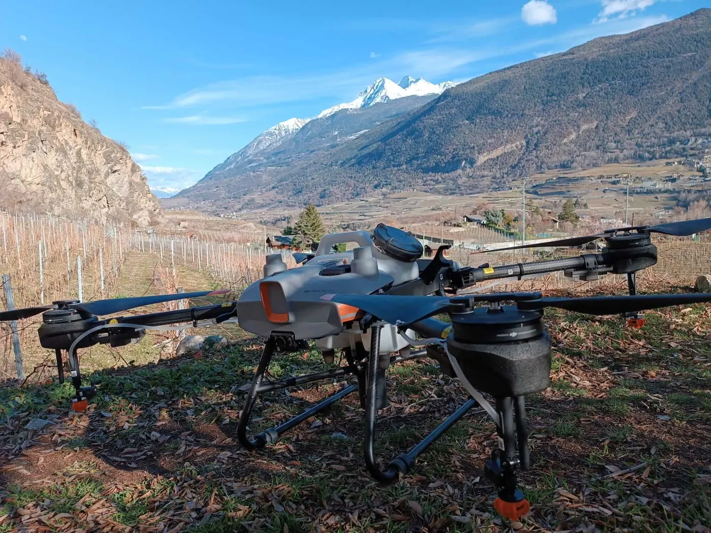 Vineyards in the Aosta Valley (Agras T10)